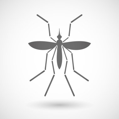 Zika virüs taşıyıcı sivrisinek boş bir arka plan üzerinde