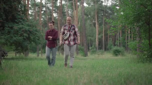 Śmiejąca się młoda kaukaska para spacerująca po lesie z psami biegającymi dookoła. Szeroki strzał szczęśliwych beztroskich właścicieli zwierząt domowych spacerujących rano w parku ze zwierzętami domowymi. — Wideo stockowe