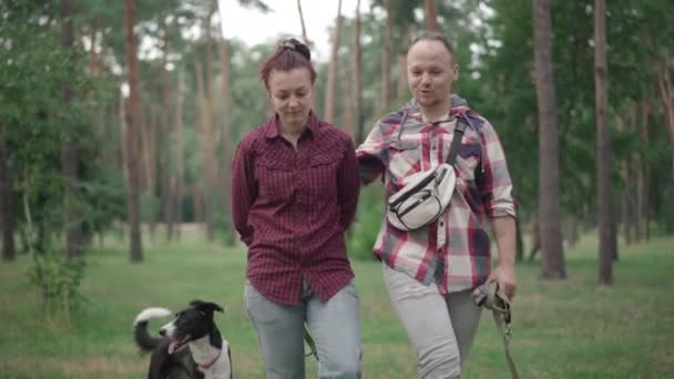 Biały mężczyzna i kobieta spacerujący w lesie i mówiący jak pies biegający dookoła. Portret zrelaksowanych właścicieli zwierząt domowych spacerujących rano na świeżym powietrzu ze zwierzętami domowymi. — Wideo stockowe