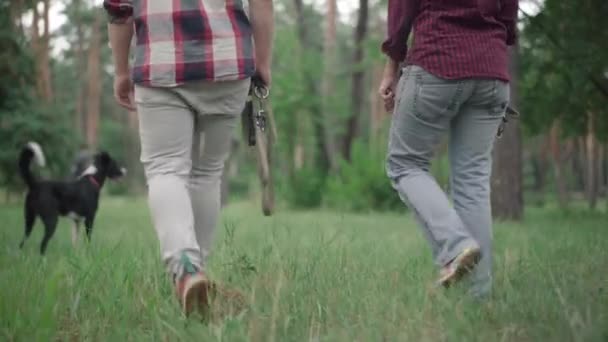 Visszapillantás a felismerhetetlen kaukázusi párra, akik a nyári erdőben sétálnak kutyákkal. Felnőtt férfi és nő séta zöld füvön, mint háziállat szórakozás reggel. — Stock videók