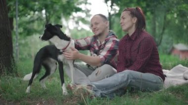 Rahatlamış bir adam ve kadın yaz sabahı parkta battaniyeye oturup sohbet ediyorlar. Dışarıda köpeklerle dinlenen neşeli beyaz bir çiftin portresi. Yaşam tarzı ve mutluluk.