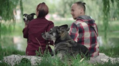 Yeşil çimenlerin üzerinde uzanan rahat evcil köpek gölün kıyısında oturan ve arka planda konuşan bulanık bir çift. Yaz sabahı parkında sahipleri olan mutlu bir hayvan..