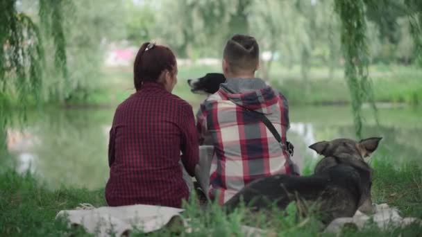 Widok z tyłu na zrelaksowaną kaukaską parę siedzącą w parku nad brzegiem jeziora i głaskające psy. Beztroski szczęśliwy mężczyzna i kobieta odpoczynku ze zwierzętami w letnie weekendy na świeżym powietrzu. — Wideo stockowe