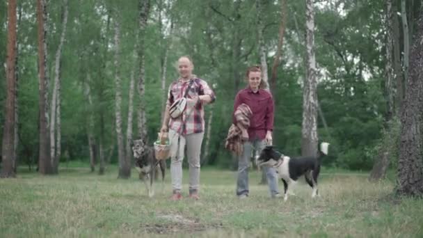 Szeroki portret kaukaskiej pary spacerującej z psami na piknik w letnim lesie lub parku. uśmiechnięty mężczyzna i kobieta z domowych zwierząt spacerujących na zewnątrz trzymając koc i koc. — Wideo stockowe