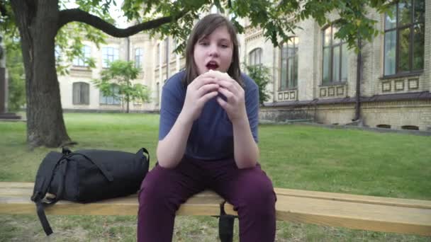 Relaxed plump boy sitting on bench with sandwich as unrecognizable aggressive classmates knocking out meal from his hands and leaving. Shocked bullied Caucasian schoolboy at lunch. — Stock Video