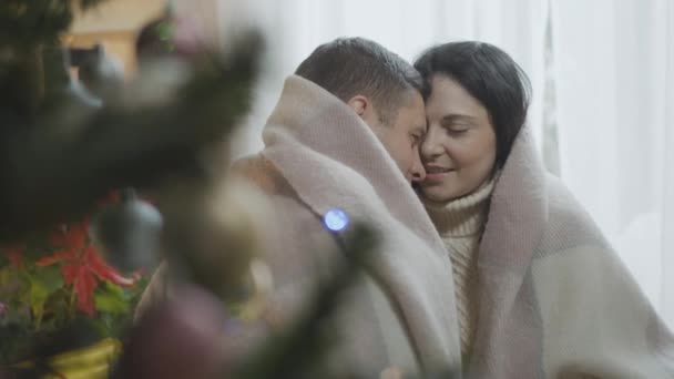 Un cuplu caucazian romantic stând la pomul de Crăciun înfășurat în nas de frecare pătură. Soț fericit, soție sau prietenă și iubit care sărbătoresc Anul Nou acasă în interior . — Videoclip de stoc