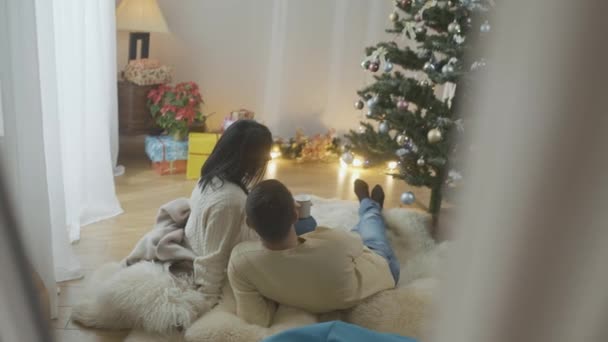 Visão traseira reflexão no espelho do casal adulto feliz admirando a árvore de Natal em casa falando. Ampla foto de homem e mulher caucasiano positivo relaxado celebrando a véspera de Ano Novo em casa bebendo chá. — Vídeo de Stock