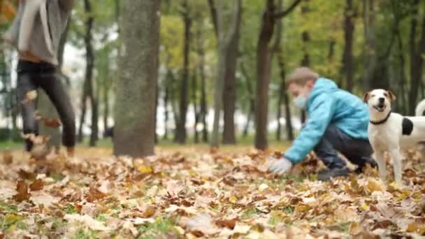 Garçons insouciants dans les masques du coronavirus jetant des feuilles jaunes dans le parc d'automne. Deux frères caucasiens positifs s'amusent à se reposer avec un chien à l'extérieur. Loisirs sur Covid-19 pandémie. — Video