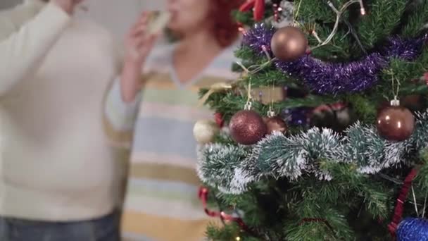 Árvore de Natal decorada em ambientes fechados com casal caucasiano irreconhecível borrado bebendo champanhe no fundo. Feliz homem e mulher relaxado celebrando Ano Novo em casa. — Vídeo de Stock