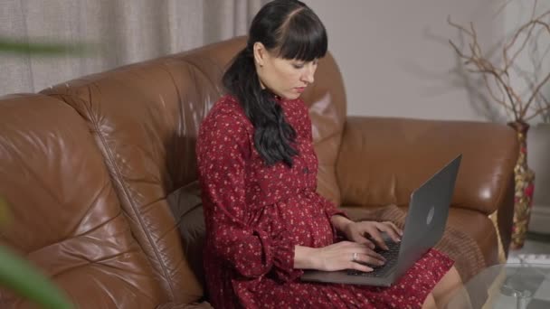Koncentrált terhes, fehér nő gépel a laptop billentyűzetén, otthon ül a kanapén. Portré elfoglalt magabiztos fiatal várandós üzenetküldő online beltéri. Terhesség és életmód. — Stock videók