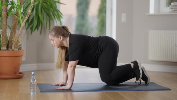 Vista lateral de la deportista regordeta concentrada en manos y rodillas levantando la pierna. Retrato panorámico de una mujer caucásica persistente haciendo ejercicio en casa por la mañana. Deporte y aeróbic. — Vídeos de Stock