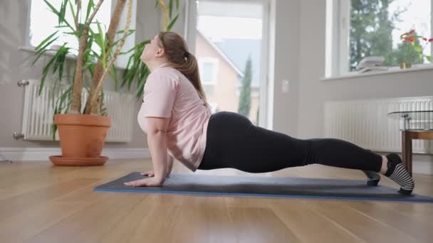 Pandangan samping dari wanita Kaukasia bertubuh besar dan fleksibel berpose ular di atas tikar latihan. Tembakan yang lebar dari yogi Kaukasia terkonsentrasi bekerja di dalam rumah. Yoga dan konsep olahraga. — Stok Video