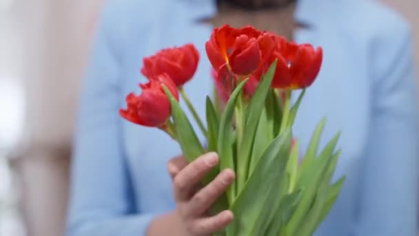 Close-up buquê de tulipas vermelhas em mãos caucasianas femininas. Mulher adulta irreconhecível segurando flores em pé dentro de casa no dia dos namorados com presente. Bonding e romance conceito. — Vídeo de Stock