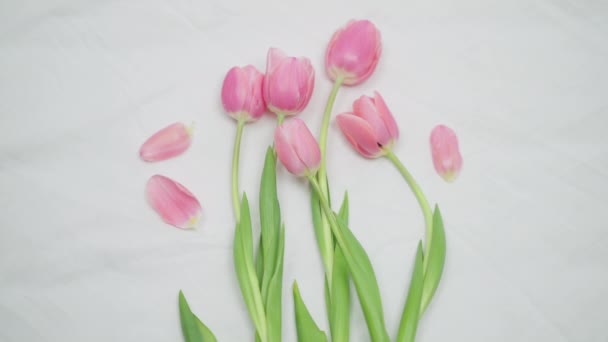 Anbud vackra blommor som ligger på vita sängkläder inomhus med rosa kronblad faller. Närbild bukett tulpaner på sängen. Naturen älskar romantik och skönhet. — Stockvideo