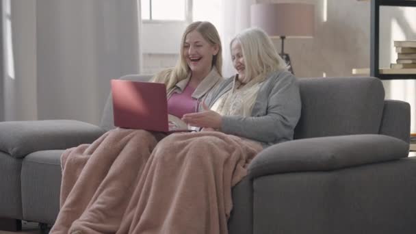 Retrato fotográfico de duas mulheres caucasianas a rir a surfar nas redes sociais no computador portátil a falar. Feliz alegre belas senhoras gostando de reunião na sala de estar dentro de fofocas. Amizade. — Vídeo de Stock