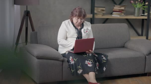 Wide shot portrait of confident busy senior woman typing on laptop keyboard thinking. Aged Caucasian female retiree in eyeglasses messaging online sitting on comfortable couch at home. — Stock Video