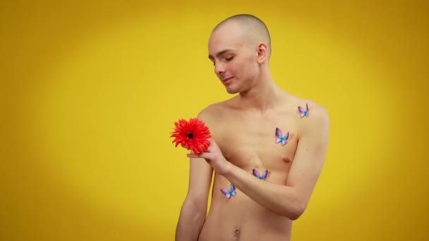 Extravaganter queerer Mann mit Schmetterlingen auf dem Oberkörper, die rote Blume in der Hand bewundern. Mittlere Aufnahme einer kaukasischen LGBTQI-Person, die vor gelbem Hintergrund posiert. — Stockvideo