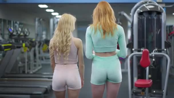 Widok z tyłu szczupła blondynka i ruda kaukaskie kobiety spacerujące w nowoczesnej siłowni rozmowy. Kamera na żywo śledzi pewne siebie szczupłe sportowce dzielące się plotkami w pomieszczeniach po treningu. Sport i przyjaźń. — Wideo stockowe
