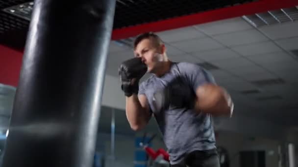 Boxeur masculin motivé confiant frapper sac de boxe dans la formation de gymnase. Portrait d'un beau sportif caucasien adulte boxant à l'intérieur. Concept d'arts martiaux. — Video