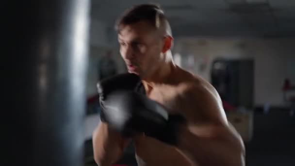 Beau boxeur caucasien confiant sac de boxe dans la salle de gym à l'intérieur. Portrait de sportif motivé avec entraînement de torse nu. Concept d'entraînement et de masculinité. — Video