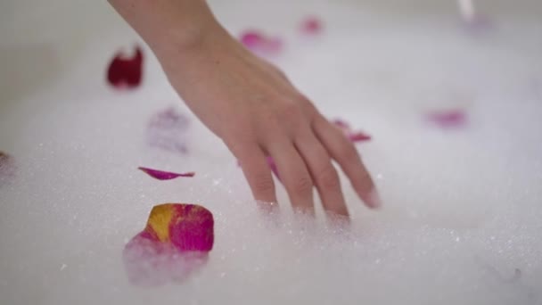 Тонкая женская рука касается пены для ванны с красными лепестками роз. Неузнаваемая кавказская молодая женщина, принимающая ванну дома. Медленное движение. — стоковое видео