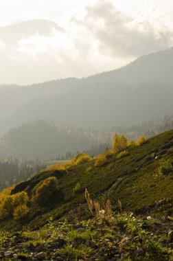 Rosa Khutor Kayak Tatil Köyü, Sochi, Rusya 'dan görüntüler. Roza Pik, 2320 metre yükseklikte yer alan Aibga dağ sırasının zirvesidir..