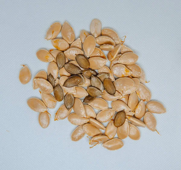 Semillas Calabaza Aisladas Sobre Fondo Blanco — Foto de Stock