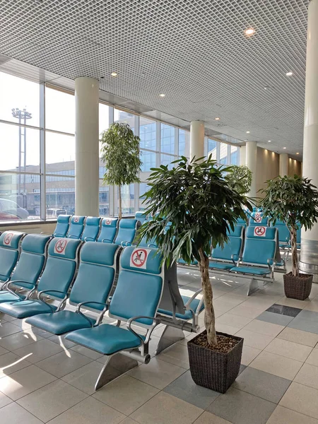 Empty Airport Lounge Covid Row Blue Chairs — Stockfoto