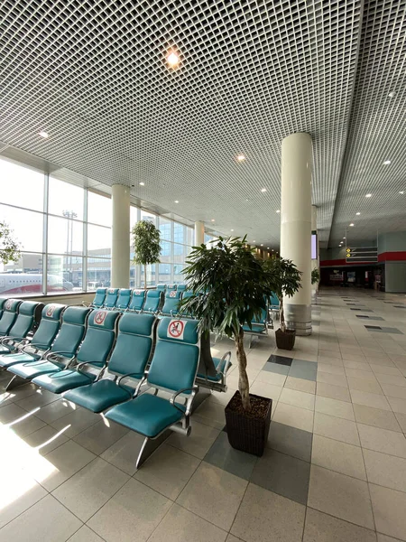 Empty Airport Lounge Covid Row Blue Chairs — Stockfoto