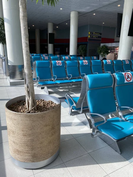 Empty Airport Lounge Covid Row Blue Chairs — Stockfoto