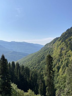 Rosa Khutor Kayak Tatil Köyü, Sochi, Rusya 'dan görüntüler. Roza Pik, 2320 metre yükseklikte yer alan Aibga dağ sırasının zirvesidir..