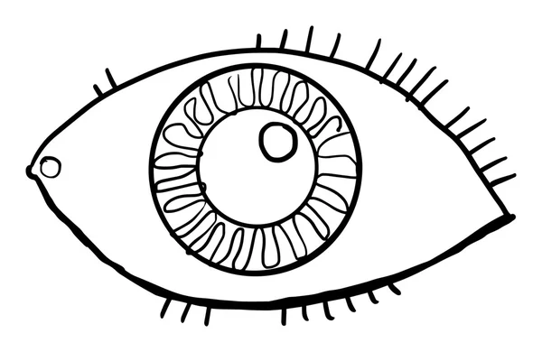 Mano dibujada, ojo, aislada en blanco — Archivo Imágenes Vectoriales