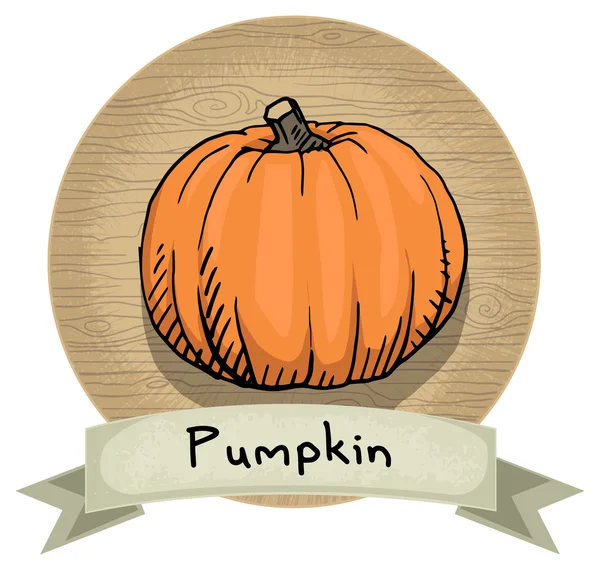 Hand drawn Pumpkin icon on wood — Διανυσματικό Αρχείο