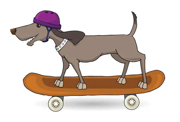 Hund skateboard — Stock vektor
