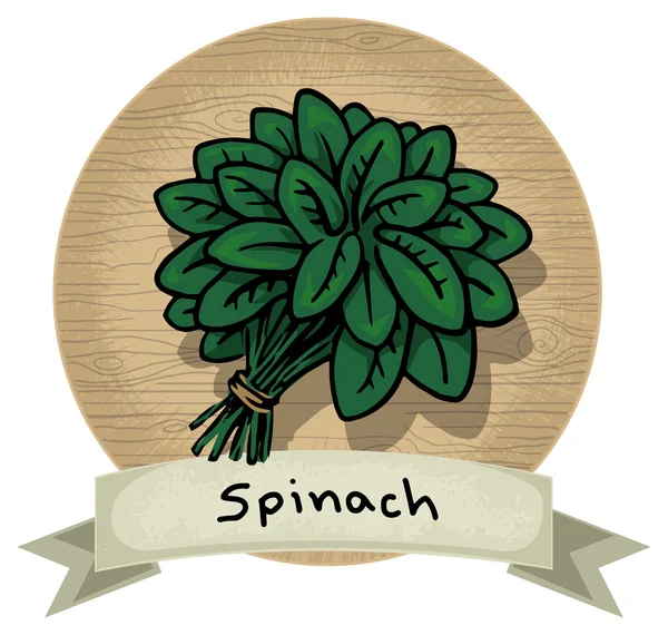 Hand drawn Spinach icon — Stock Vector