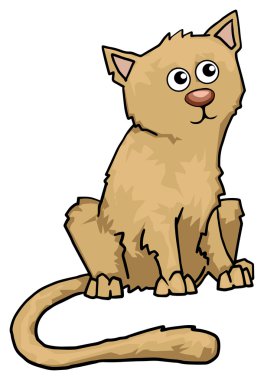 Şirin kedi.