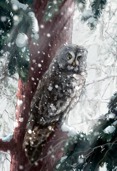 Owl Sitting Branch Snowy Winter — Stock Photo, Image