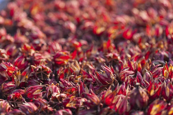 Roselle kuru bir yığın paterni