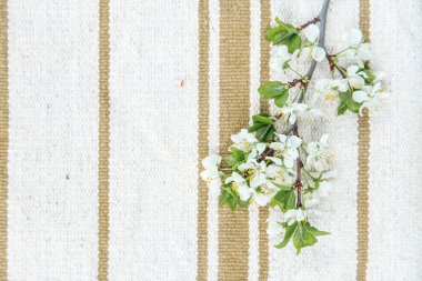 Köy dekorasyon konsepti, eski kırsal kumaş arka planında bahar çiçeği kiraz dalı.
