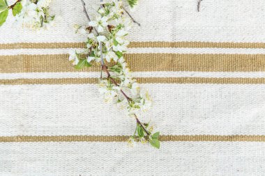 Köy dekorasyon konsepti, eski kırsal kumaş arka planında bahar çiçeği kiraz dalı.