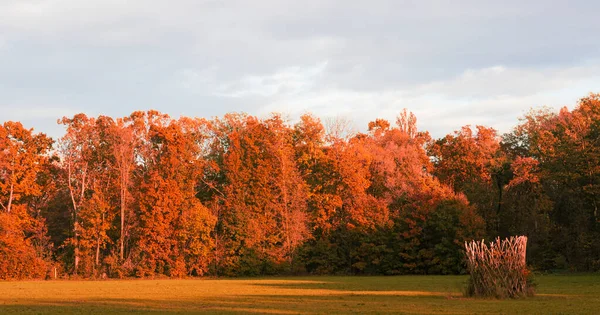 Jesienne kolory w parku naturalnym — Zdjęcie stockowe