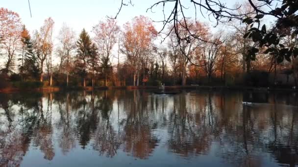 Χειμώνας πρωί σε μια μικρή λίμνη σε ένα φυσικό πάρκο — Αρχείο Βίντεο