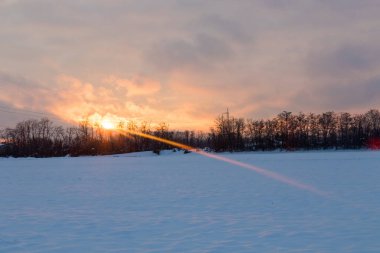 Kış zamanı tarladaki ağaçlar güneş ışığıyla aydınlanır.