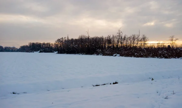 Snö Ett Land Vintern Med Dimman — Stockfoto