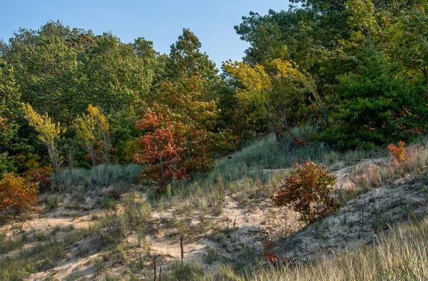 Beautiful Autumn Beach Landscape Dunes Lake Michigan Usa — Stock Photo, Image