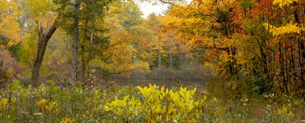 Hermoso Panorama Otoño Bosque Oro Michigan Con Estanque Oculto Follaje —  Fotos de Stock