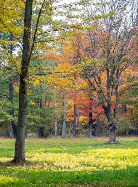 涼しい10月の日にカラフルな木々と秋の風景 — ストック写真