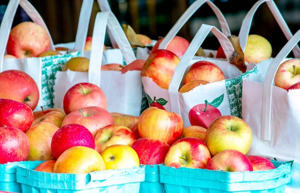 Crisp Michigan Apples Seasonal Treat Fall Markets Throughout State — Stock Photo, Image