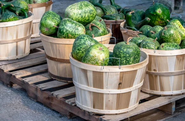 Verdes Cabaças Variegadas Mercado Agrícola Estão Venda Mercado Livre — Fotografia de Stock