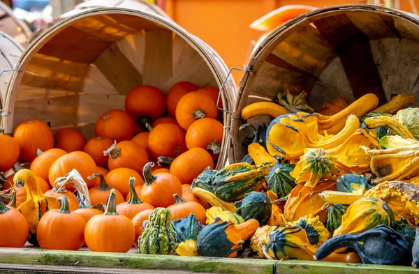 秋の装飾のための農場市場での季節の秋の農産物 — ストック写真